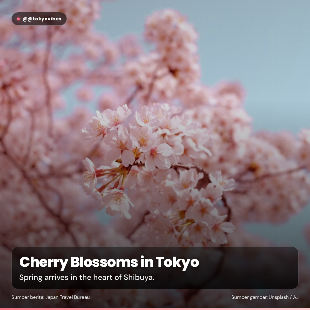 tiktok-slideshow-square template preview